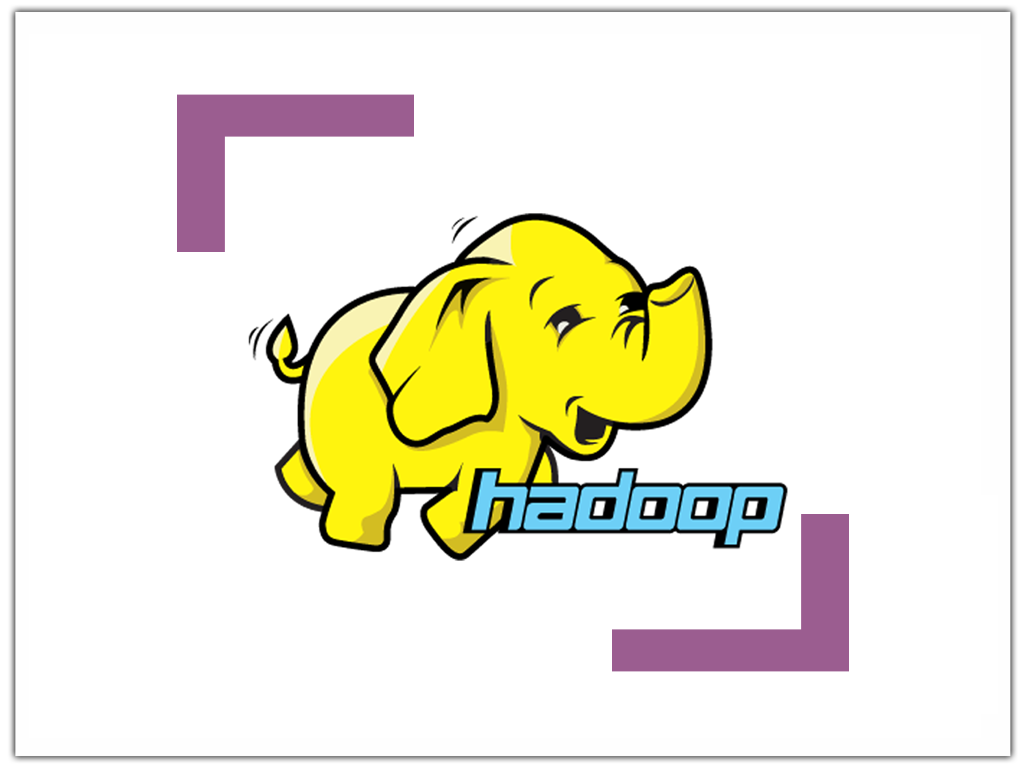 rexorsoft